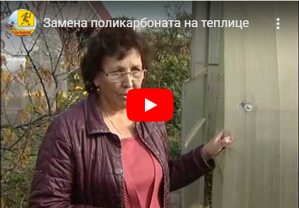 Замена поликарбоната