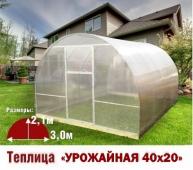 Теплица Урожайная-40х20 3х6х2,1м комплектация Премиум - интернет-магазин «Формика» 