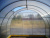 Teplica_ocinkovannaya_Novaya_Cink_dugi_cherez_0,65_2 Teplica_ocinkovannaya_Novaya_Cink_dugi_cherez_0,65_2