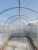 Vstavka_dlya_teplicy_Optima_2 Vstavka_dlya_teplicy_Optima_2