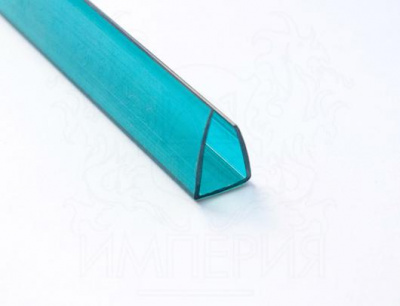 profil'_torcevoj_biryuza