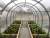 Rama_gryadka_dlya_teplicy Rama_gryadka_dlya_teplicy