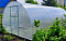 Теплицы