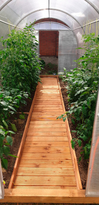 Sistema_podvyazyvaniya_dlya_rastenij_v_teplicu6