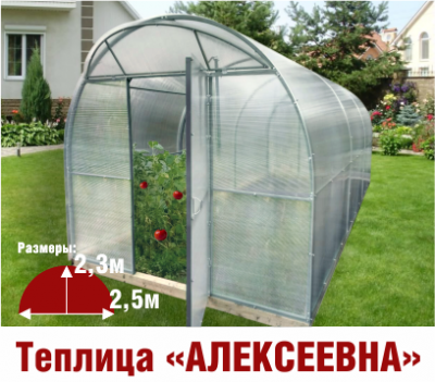 teplitcaalekseevnaK